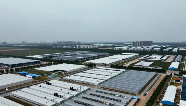电子元器件供应链的技术支持发展趋势分析